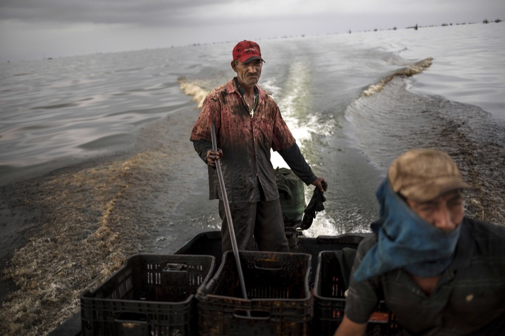 First Place - 2019 Feature Picture Story/Essay