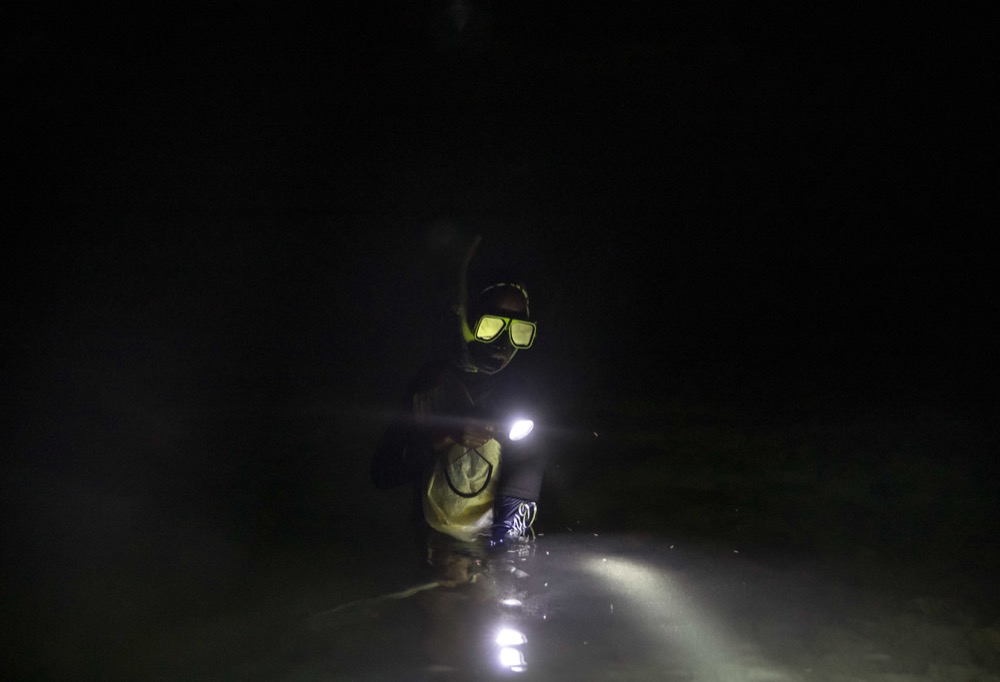 Honorable Mention - 2019 Feature Picture Story/Essay