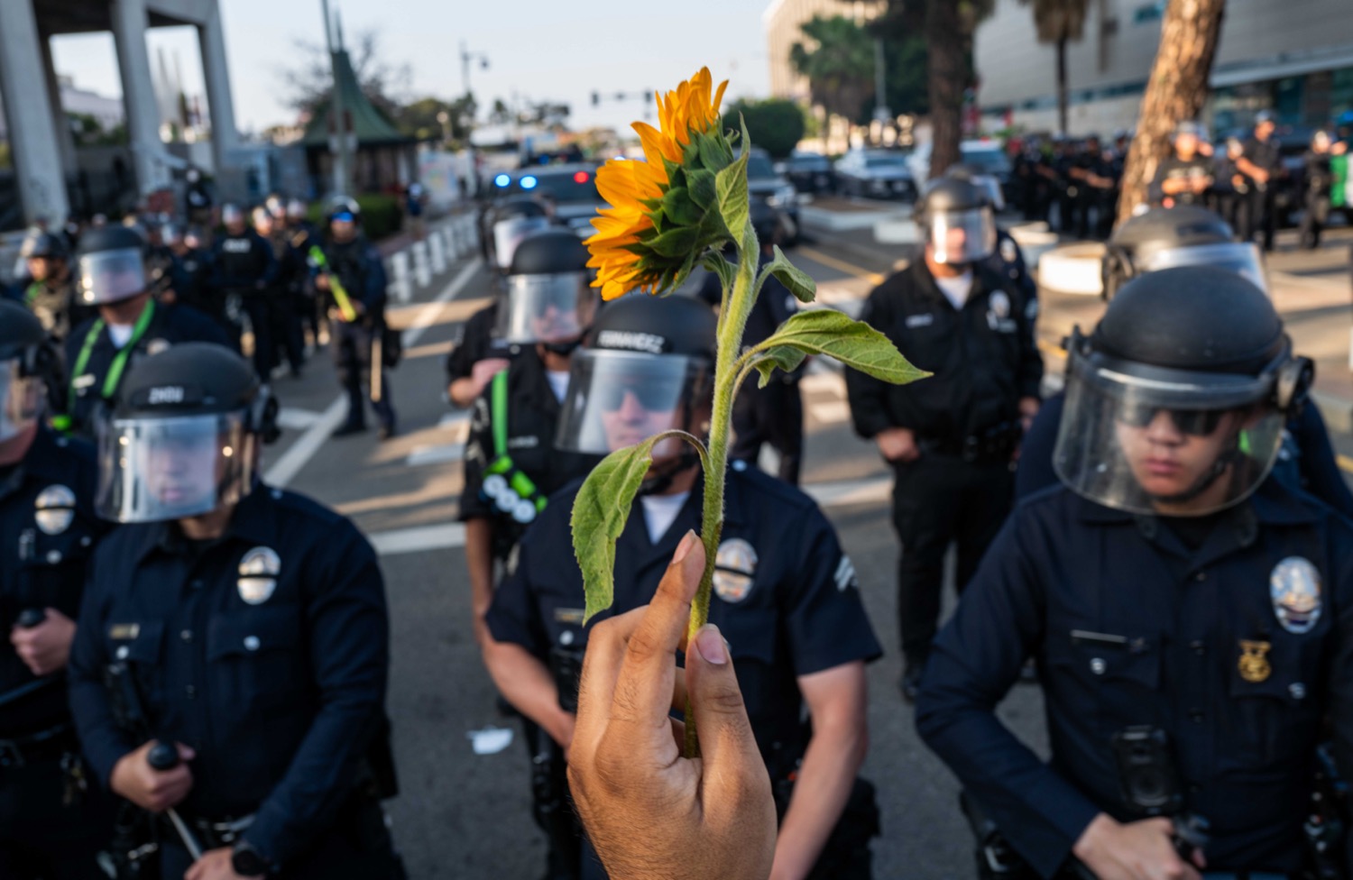 Second Place - 2025 Domestic (U.S.) General News Picture Story