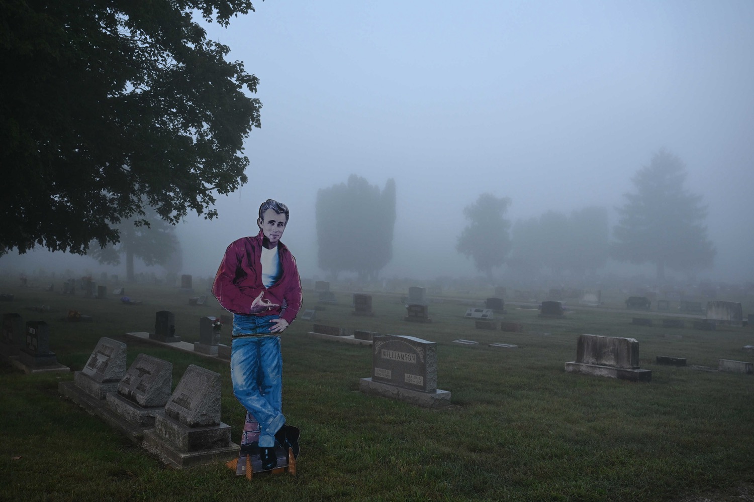 Honorable Mention - 2025 Feature Picture Story